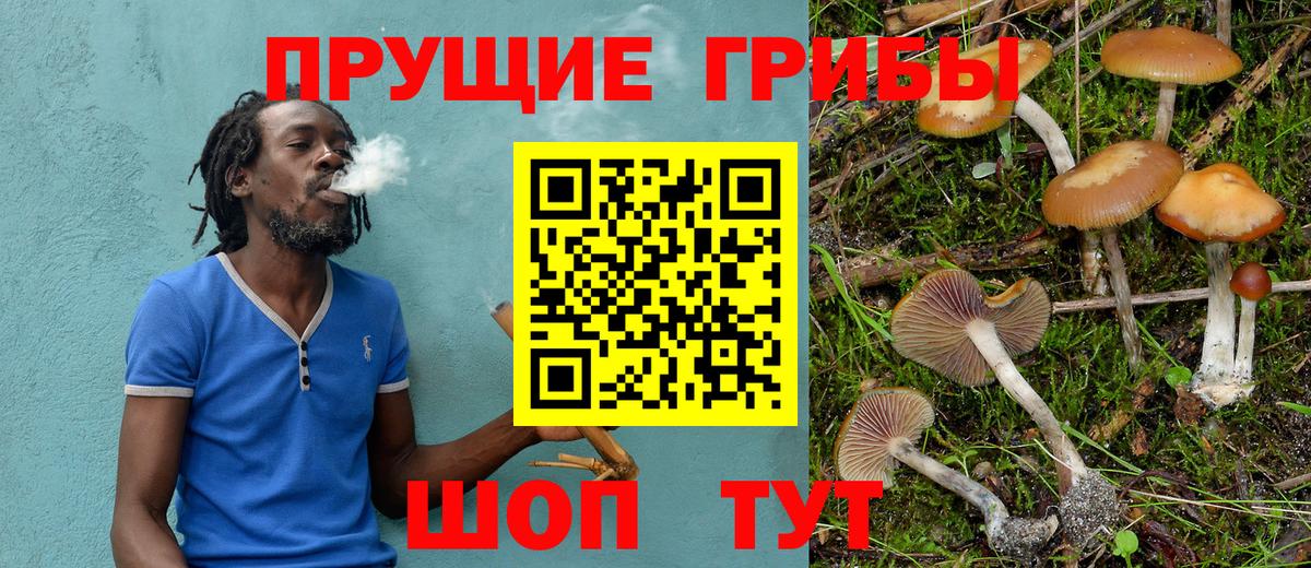 Псилоцибиновые грибы Psilocybine cubensis  Галлюциногенные грибы Cubensis  Каспийск  Вход с VPN 