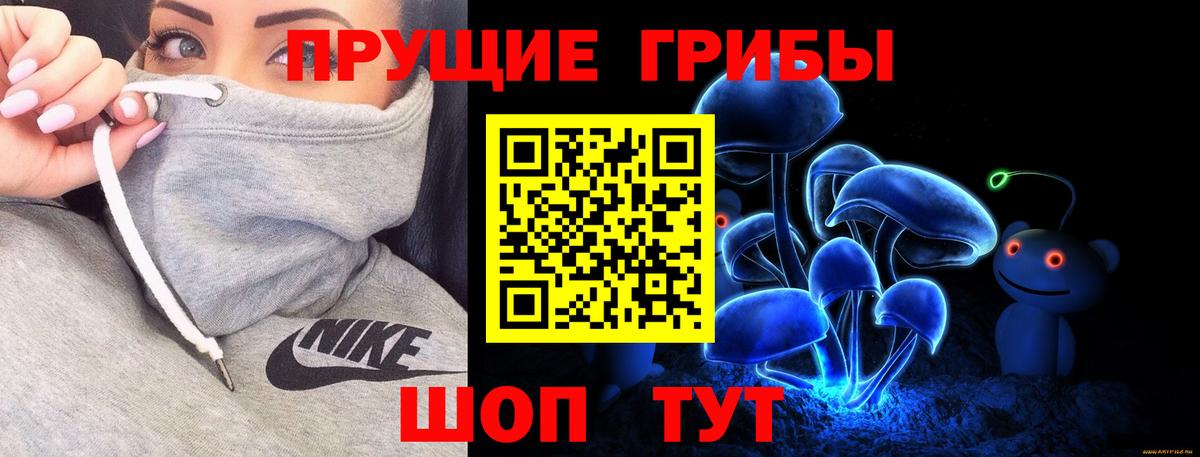 Псилоцибиновые грибы Psilocybine cubensis Каспийск